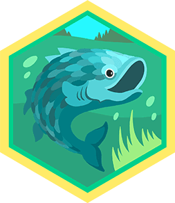 Skill Badge