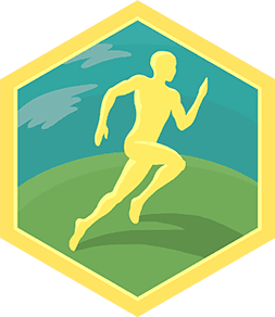 Skill Badge