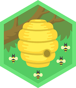 Skill Badge