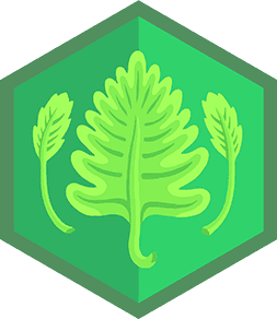 Skill Badge
