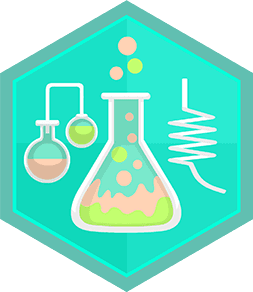 Skill Badge