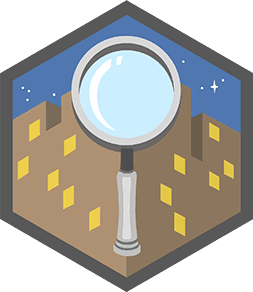 Skill Badge