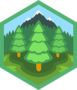 Skill Badge