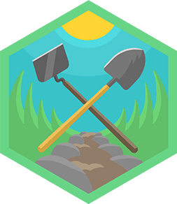Skill Badge