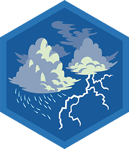 Skill Badge