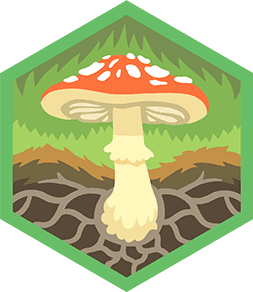 Skill Badge