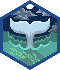 Skill Badge