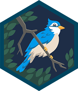 Skill Badge