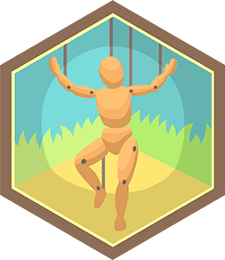 Skill Badge
