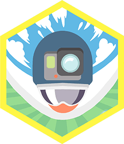 Skill Badge