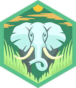 Skill Badge