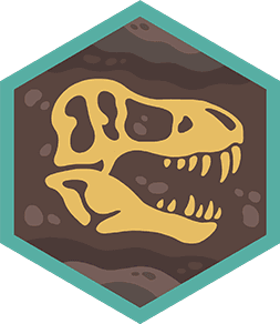 Skill Badge