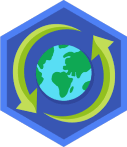 Skill Badge