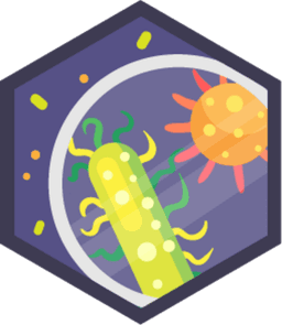 Skill Badge