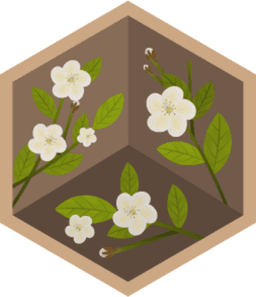 Skill Badge