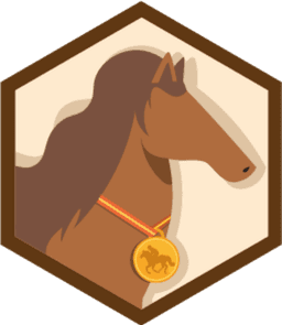 Skill Badge